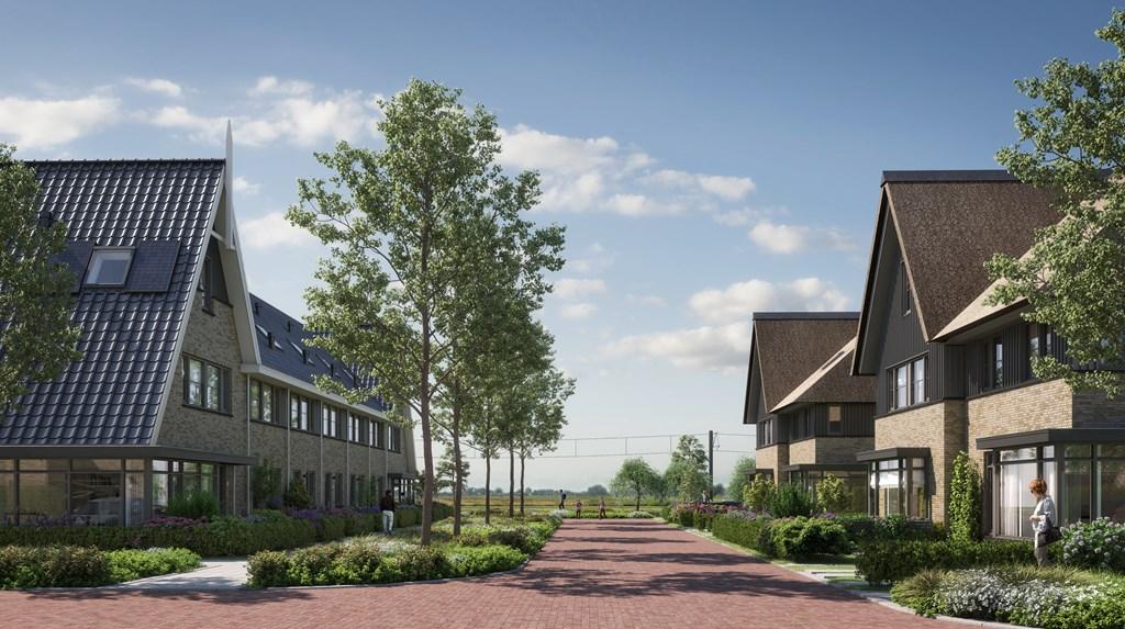 3998_wijde_wiericke_d6_01.jpg