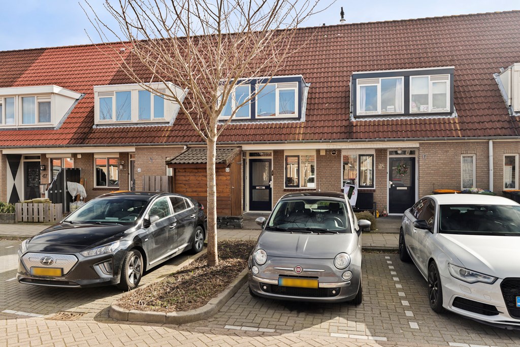 Korenakker432743ERWaddinxveen-02.jpg